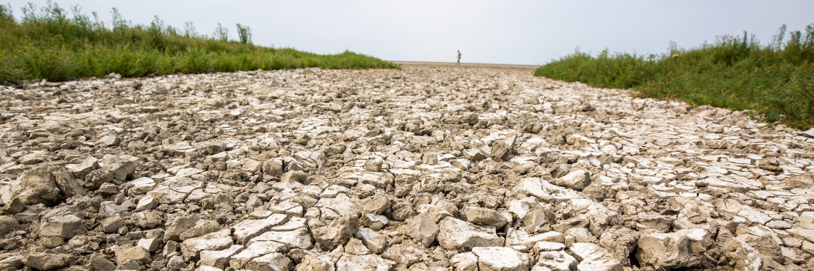 Dry ground due to climat change